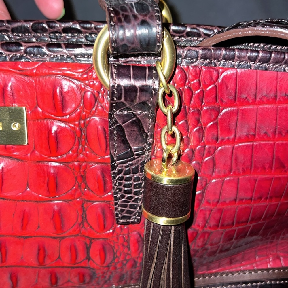 Brahmin - Picture 3 of 9